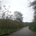 foto montefredane2