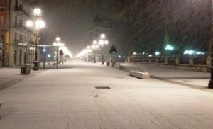 neve avellino