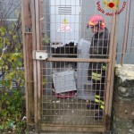 vigili del fuoco7