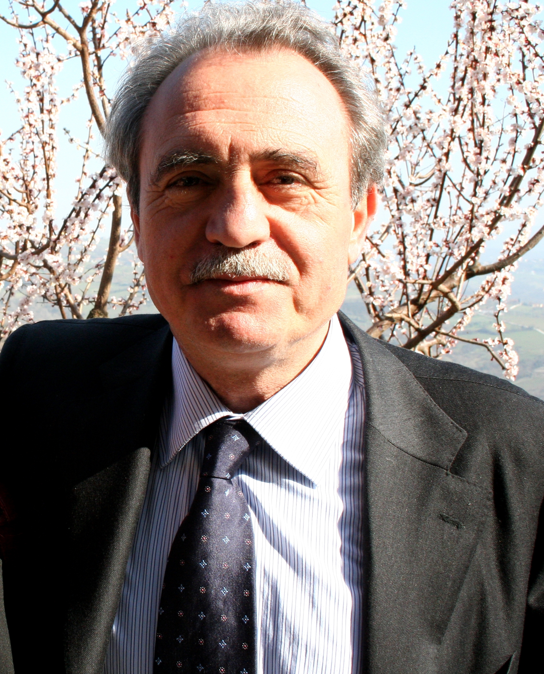 vincenzo_d'amato