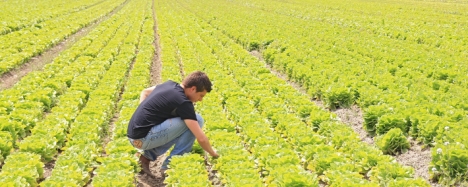 agricoltura