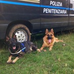 foto_(3)