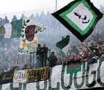 avellino