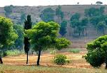 forum ambiente