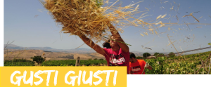 gusti_giusti