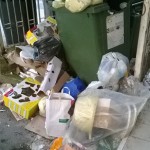 iannacchini rifiuti 3