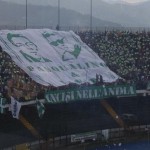 1509945_10203335115688311_6598098296704765269_n