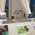 Mostra_Pastore_piazza