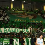paladelmauro