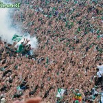 tifosi