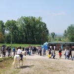 Nature_Show_02