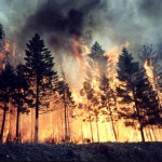 incendiboschi