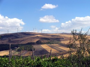 vallesaccarda