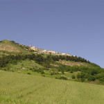 DSC08411