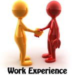 WorkExperience2