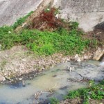 news_foto_22656_fiume_sabato_degrado-680x365