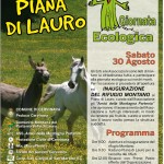 puliamo