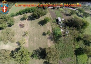 Foto_drone