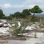 foto discarica paternopoli