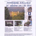 locandina_itinerari_aiellesi_2014