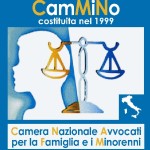 camaera nazionale avvocati