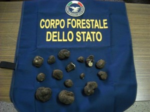 controlli sagra