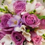 images (1)