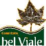 logo_viale