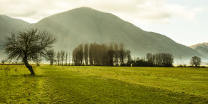 irpinia, via del grano di fabio donato
