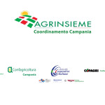 logo-agrinsieme