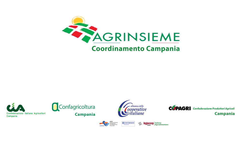 logo-agrinsieme