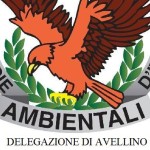 gadit avellino