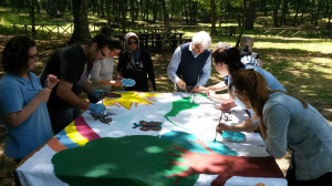 albero