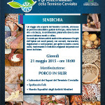 evento SENERCHIA
