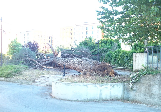 incidente via raimo avellino