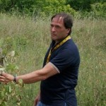 michele di maio calitri