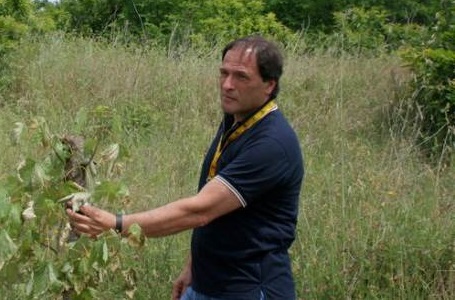 michele di maio calitri