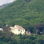 montoro_incoronata