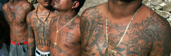 LATINOS
