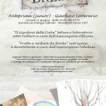 Locandina anteprima junior