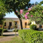 fattoria-sociale-fuori-di-zucca