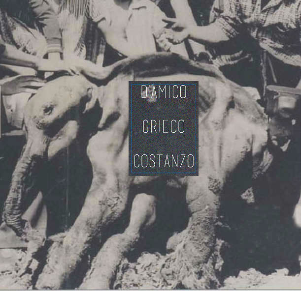 locandinaDGC