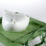mozzarella2
