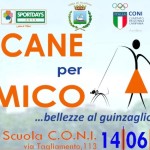 un cane per amico