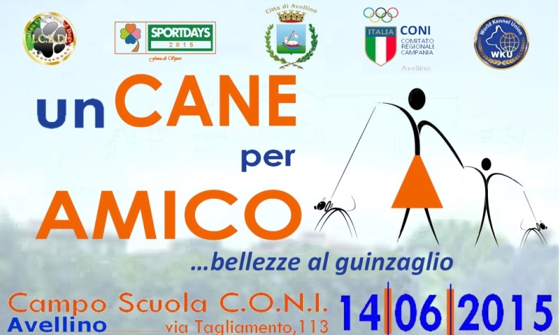 un cane per amico