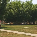 Parco Rione Aversa 1
