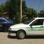 auto gadit