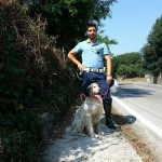 cane vigili polizia municipale