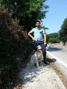 cane vigili polizia municipale