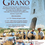 grafica